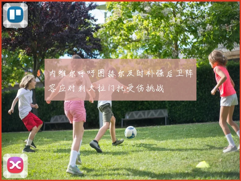 内维尔呼吁图赫尔及时补强后卫阵容应对利夫拉门托受伤挑战